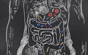 Convencionalmente hablamos de sobrecrecimiento bacteriano intestinal (SIBO) cuando se diagnostica un problema de malabsorción atribuido a un número excesivo de bacterias en el intestino, habitualmente en el delgado.