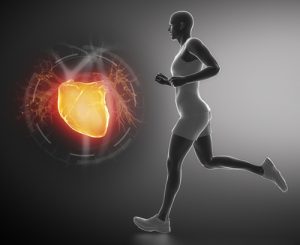 Mayor nivel de actividad física menor mortalidad por infarto. Los individuos menos activos duplicando el riesgo de morir por infarto.