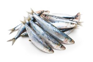 Más sardinas y menos estatinas, existen grasas esenciales para nuestro organismo que no somos capaces de obtener si no es a partir de la dieta.